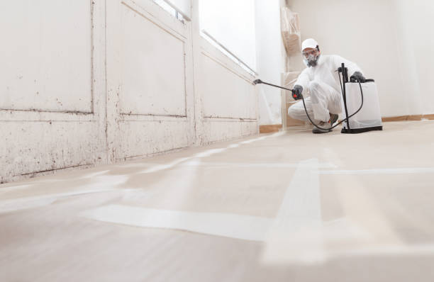 24/7 Emergency Attic Mold Removal experts in Sparta, GA