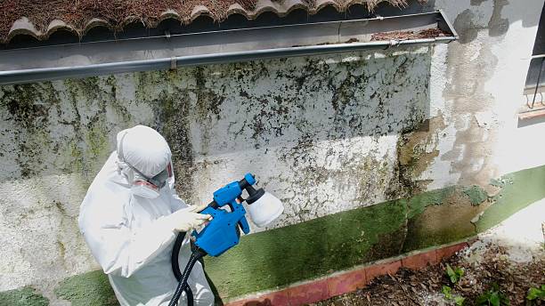 Top rated local Mold Remediation specialists in Sparta, GA